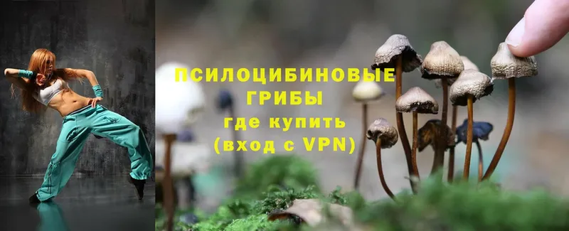 Псилоцибиновые грибы MAGIC MUSHROOMS  кракен вход  Ермолино  продажа наркотиков 